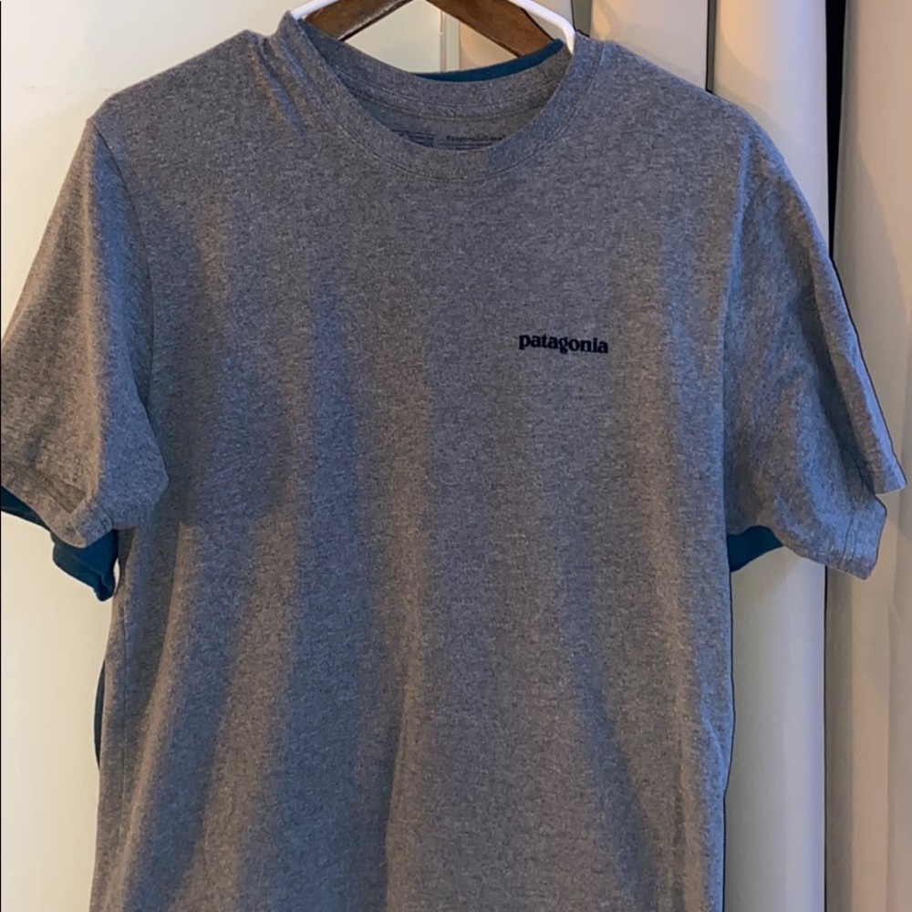 Patagonia men’s tee